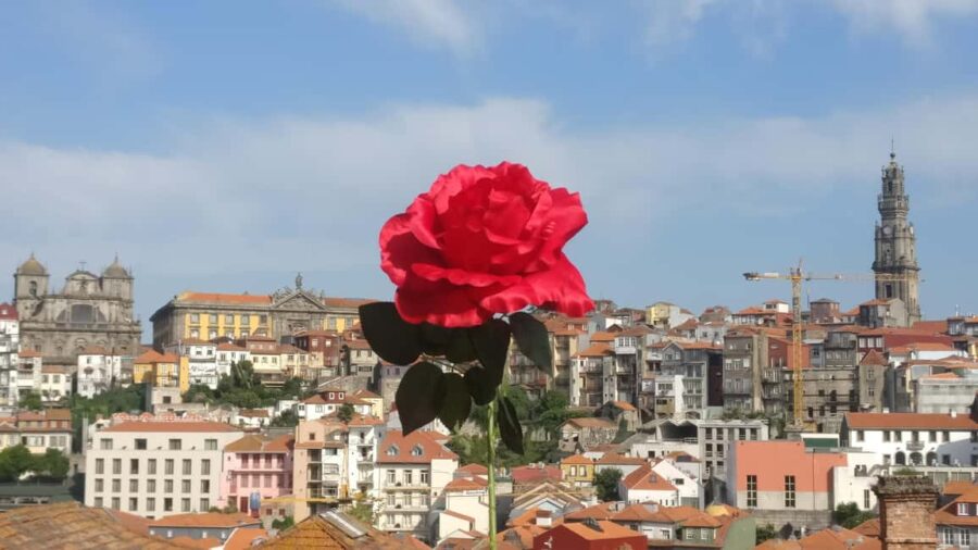 Explore Portos Soul: Walking Tour & Clérigos Church - Discovering Porto’s UNESCO World Heritage Historic Center
