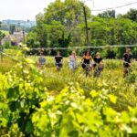 Explore Saint-Émilion on e-Bikes: Small Group, half-Day Tour - A Guided Ride Through Saint-Émilion’s UNESCO Vineyards