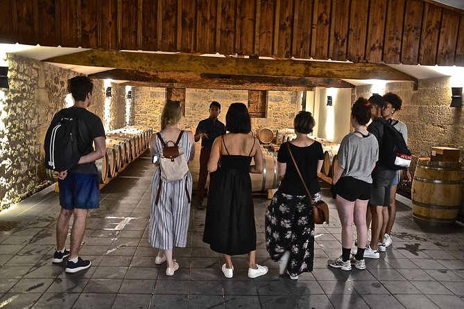 "Explore Saint-Émilion on e-Bikes: Small Group, half-Day Tour" - Electric Bikes Make Cycling Accessible