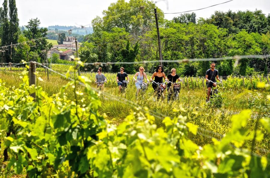 Explore Saint-Émilion on e-Bikes: Small Group, half-Day Tour - A Guided Ride Through Saint-Émilion’s UNESCO Vineyards