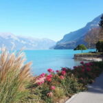 Explore Swiss Villages: Interlaken-Grindelwald(Private Tour) - The Scenic Drive Through Swiss Countryside