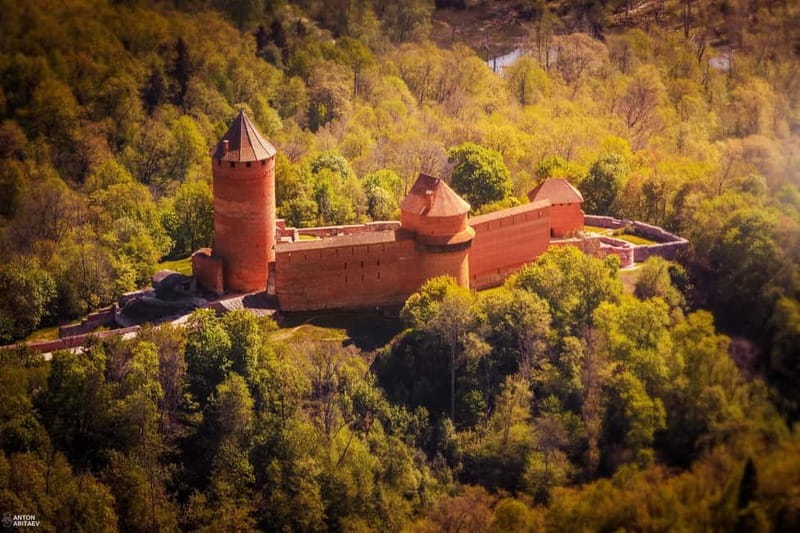 Explore the Baltics: Riga- Tallinn / Tallinn - Riga Daytrip - Convenient Pick-up and Drop-off Options in Riga