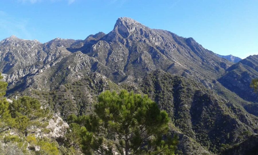 Explore the Nerja National Park nature in our open-top jeeps - Expert Guides Bring the Landscape to Life