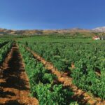 Explore the Secrets of Wine and Olives in Rethymno - Scenic Drives and Off-road Adventures