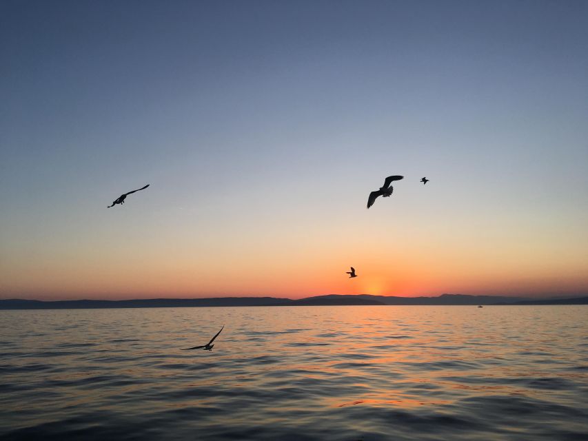 Explore the Wild Bays of Krk Island with Capt. Bobo(Private) - Exploring Fox Bay and Bishop Bay: Secluded Beach Havens