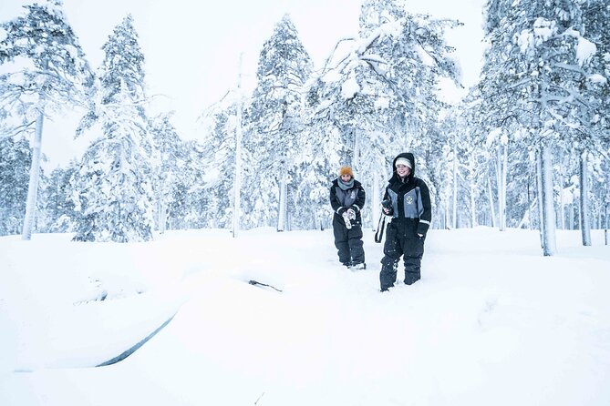 Explore the Wilderness - Scenic Hike in Remote Lapland Forests