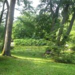 Explore the Wonders of Lituania from Klaipeda Cruise Terminal - Starting Point at Klaipeda Cruise Ship Terminal