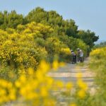 Exploring Vodice on Two Wheels - The Story of Vodice’s First Mention and Historical Foundations