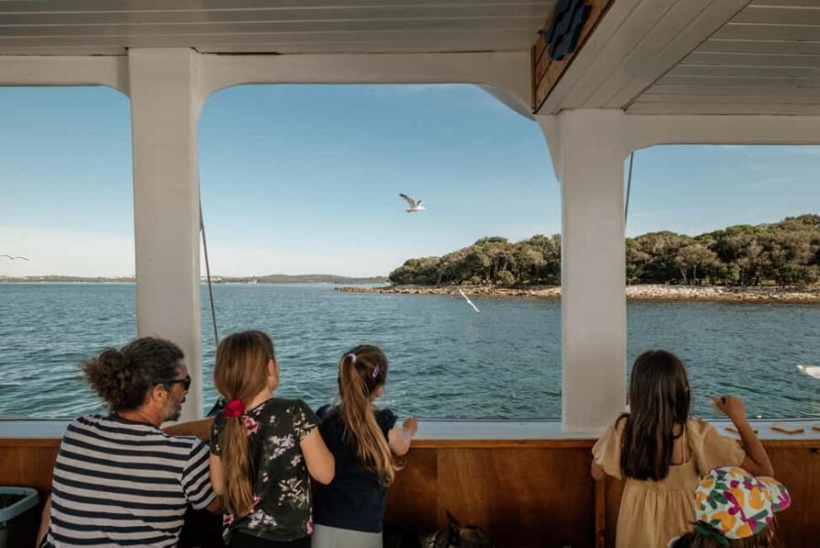 FAANA: PANORAMA NP BRIJUNI AND ISLAND SWIMMING STOP - Marine Life Viewing from the Boat