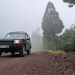 Faial: Private 4WD Half Day Island Tour with Local Guide - The Personal Touch of a Private Group Tour