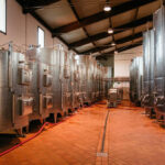 FAMIGLIA COTARELLA, NEAR ORVIETO WINE TASTE AND VISIT - Tasting Two Distinctive Wines Paired with Local Food