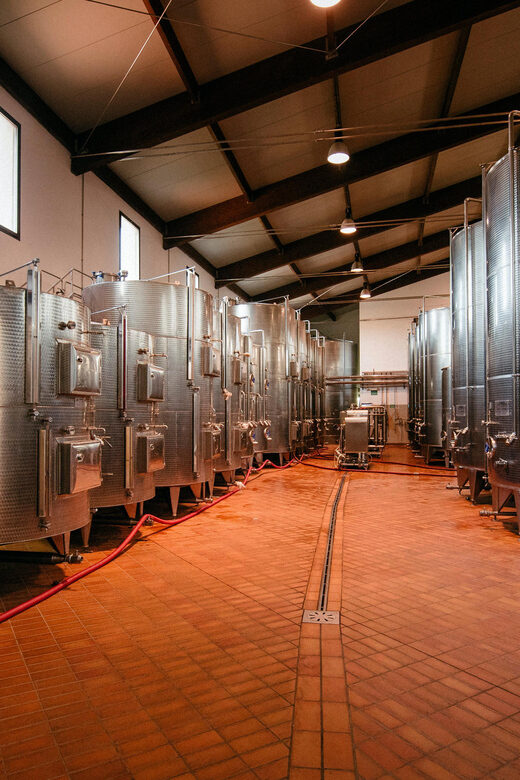 FAMIGLIA COTARELLA, NEAR ORVIETO WINE TASTE AND VISIT - Tasting Two Distinctive Wines Paired with Local Food