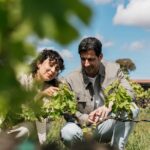 Familia Torres Winery: Gastronomic Tapas & Wine Experience - Touring the Iconic Familia Torres Winery and Vineyard Grounds