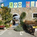 Family Excursion: From Sea Wonders to Mythical Realms Adventure - Dinosauria Park: Encounter Over 50 Dinosaur Species