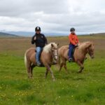 Family Friendly Horse Riding Tour in Skagafjörður - Scenic Routes through Skagafjörðurs Landscape