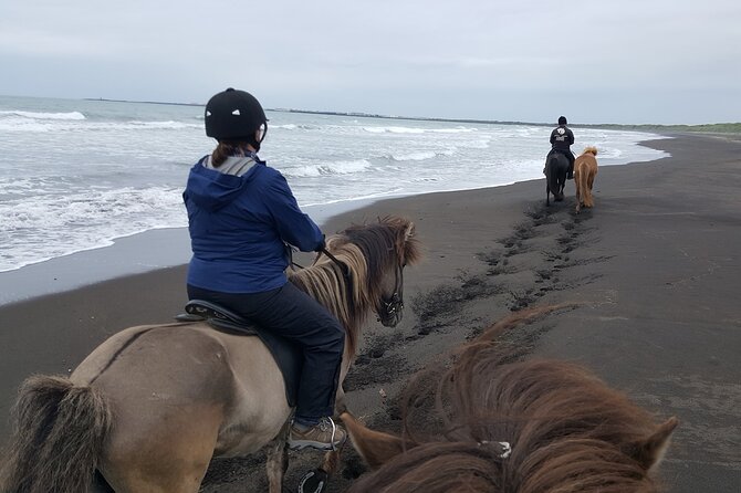 Family Horse Riding Tour in Thorlakshofn - The Scenic Route to Krýsuvík Lava Fields