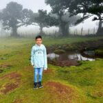 Family tour Madeira Island - Private Family Tour with Flexible Itinerary and Hotel Pickup