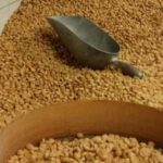 Famous Patisserie Visit and Tasting near Turin - The Historic Confectionery in Canavese