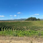 Fancy Douro from Porto - private walk + lunch + wines - Starting at Quinta do Portal: The Gateway to Douros Beauty