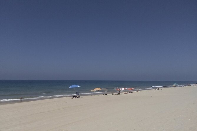 Faro City and Beach Tour on Electric Tuk tuks - Starting Point and Transportation Details