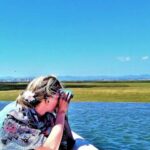 Faro: Ria Formosa Boat Tour - What the Boat Looks Like: Comfortable, Small, and Guided