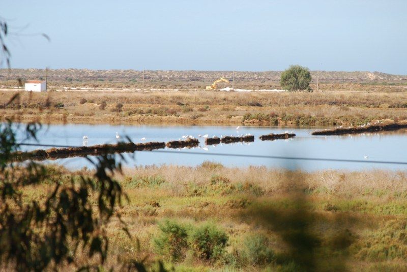Faro: Ria Formosa Natural Park Segway Tour & Birdwatching - Exploring Ria Formosa’s Natural Beauty on a Segway