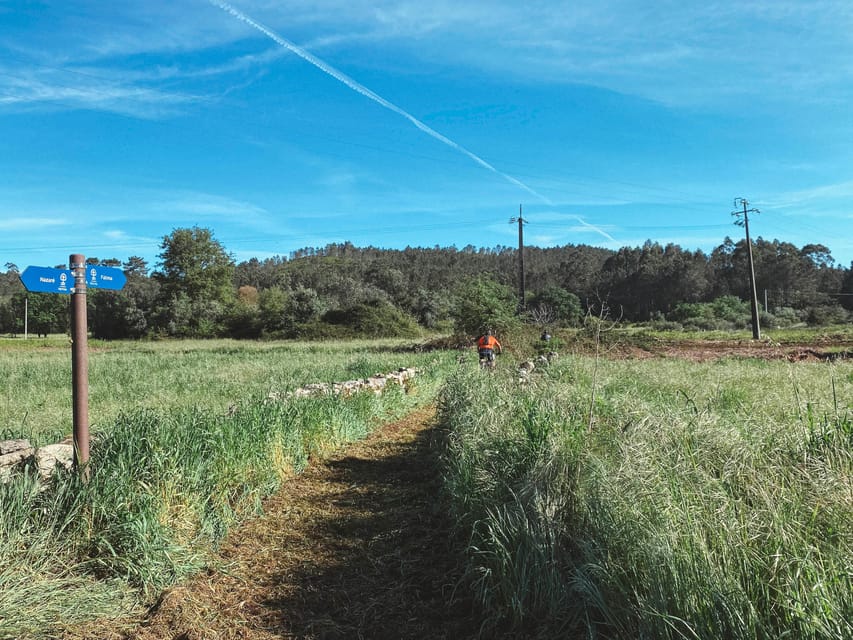 Fátima E-bike tour - What Makes This E-bike Tour Unique in Fátima