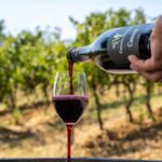 Fattoria Moretto: Lambrusco Grasparossa di Collina Tour - Location and Meeting Details at Fattoria Moretto