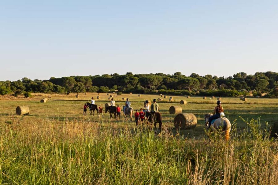 Fazana: Sunset 1-hour Horse Riding in Nature with Guide - The Role of the Guides and the Horse Selection