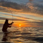 Fehmarn Heiligenhafen: Sea fishing tour with a small group - Accessibility and Preparation Tips