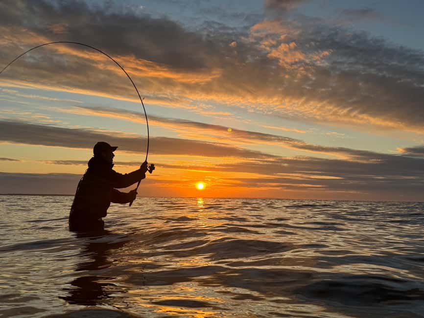 Fehmarn Heiligenhafen: Sea fishing tour with a small group - Accessibility and Preparation Tips