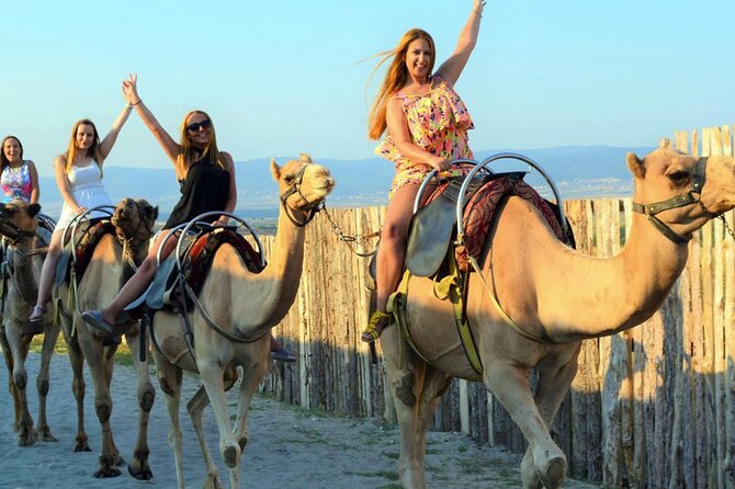 Fethiye Camel Riding at Gosht Town - What You Can Expect During the 2-Hour Camel Ride