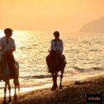 Fethiye Horse Riding in the Sea, Botanical Forest, Beach and Coastal Horseback Riding - Starting at Yanklar for a Scenic Ride in Fethiye