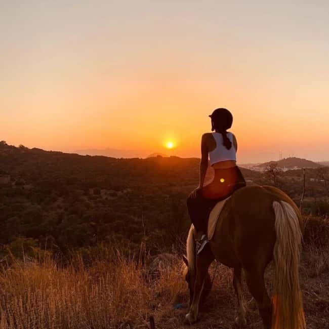 Fethiye Horse Safari Tour, Forest and Hisaronu View - The Calm and Docile Horses Make Riding Easy for Everyone