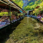 Fethiye: Jeep Safari to Tlos, Yakapark, Saklikent with Lunch - Exploring Fethiye’s Countryside by Jeep