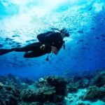 Fethiye: Professional Scuba Diving with Lunch - Underwater Exploration in Fethiye and Oludeniz