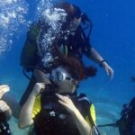 Fethiye Scuba Diving Experience By A Local Expert - The Stunning Underwater Environment of Fethiye
