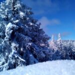 Fichtelgebirge: snowshoe hike - Deep Snow and Winter Sports in the Fichtelgebirge