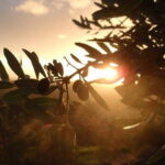 Fiesole: Tuscan Countryside Half Day E-Bike Tour & Farm visit - The Capture of Florence’s Panorama from Fiesole