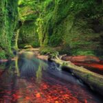 Find a hidden Glen in Scotland's woods - Key Points