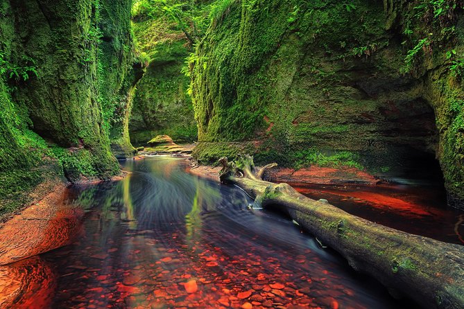 Find a hidden Glen in Scotland's woods - Key Points