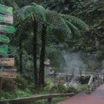 Fire Lake & Tea Factory & Pinneaple - Scenic Drive to Lagoa do Fogo and Its Viewpoints