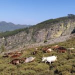 Fisgas de Ermelo Trail - Starting Point and Logistics in Porto