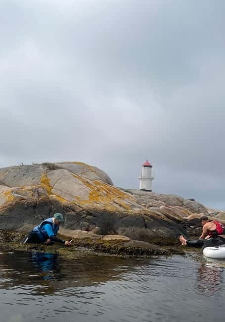 Fjällbacka: Seaweed Picking and SUP Paddling Tour - Meeting Point and Logistics in Hamburgsund