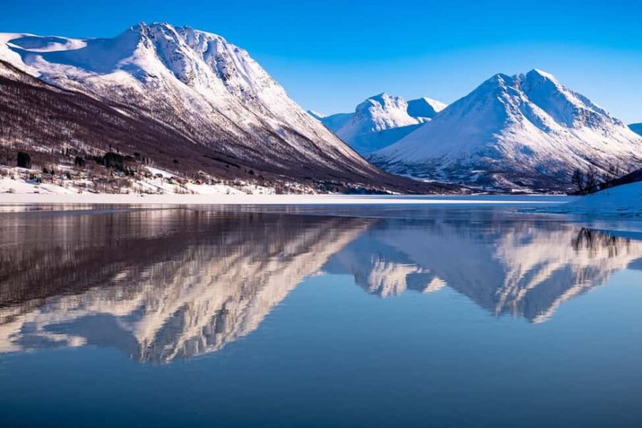 Fjord Cruise Tromsø  With a stop at Sommarøy Island - Wildlife Watching: Eagles, Seals, and Possibly Whales