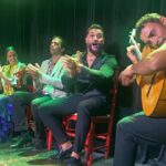 Flamenco Night and Gastronomy with Show Alicante Tapas Tour - What to Expect at the Flamenco Performance