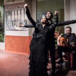 Flamenco Show at Casa de la Memoria Admission Ticket - The Flawless Line-up of Performers