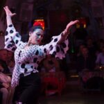 Flamenco Show in the Caves of Sacromonte - The Artists and Flamenco Styles on Display