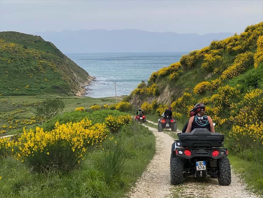 Flamingo ATV tour in Vlora - Exploring Narta Lagoon: Home to Pink and White Flamingos