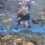 Flamingo Beach: Guided SUP and Snorkeling experience - Starting Point and Transportation in Playa Blanca